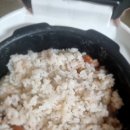 🌾밥맛 끝판왕! &#39;왕의밥상 햅쌀&#39; 솔직 리뷰🍚