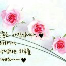 고운햇살 이미지
