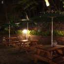 까사올리브 이미지