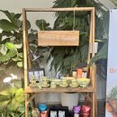 광주광명초등학교 | 광주 단풍뷰 카페 스멜츠