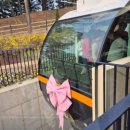 모노 | 충북 청주 청남대 모노레일 방문 후기