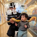 엄마랑 유리드믹스 11-17개월 | [평택] 17개월 아기랑 체험 솔직후기 "애니멀클럽"