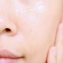 프레비스 이미지