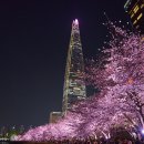 서호물산