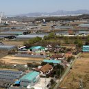 고양화전8 이미지