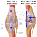 아프지말게 동물병원 이미지