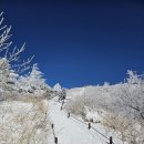 지리산 바래봉의 겨울 풍경~~한라산 백록담 에 같이 가자고 초대한 2지인 이미지