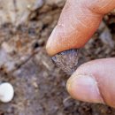 (주)대영통신 이미지