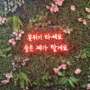 파리바게트(동국대점) 이미지