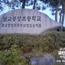벌교중앙초등학교