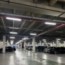 문스크린 골프클럽 이미지