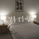 소리향 | 강릉 애견동반 감성 숙소 소리향 애견 없이 1박 후기