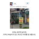 미라클 치악산 복숭아 탐험 후기 ep. 1