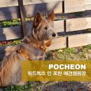 위드독스 | [포천] 애견전용 오프리쉬 캠핑장 위드독스 + 비바코 젤라 후기