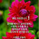 가지가지 이미지