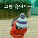 고맙습니다 이미지