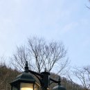 로뎅853-1 이미지