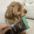 누리소프트 | 펫누리 비스포크 U 강아지 맞춤사료 후기