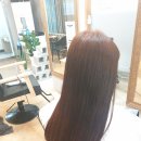 트리피컬