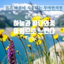 바다한의원 이미지