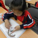 부리초병설유치원 이미지