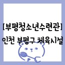 부평구 청소년수련관(체육관로76) | [장소 추천] 부평구청소년수련관 탐방 일기 (인천 부평구 위치)