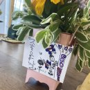 사파동342 이미지