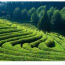 백민미술관 이미지