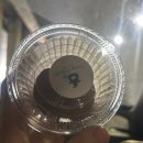 빽다방의왕포일