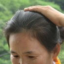 지선농장 이미지