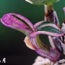 만월 - 전주시 덕진구 석소로 9-7 | 만월