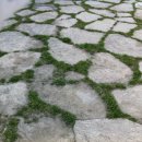 생활한복(심화) 이미지