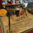 장천한우 | 진해 장천 오로지 내돈내산 이자카야 술집 추천