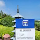 마호타 이미지