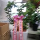 이도목장 이미지