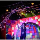 파우파우 이미지