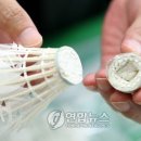 강원화물 이미지