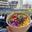 중앙동328 | 창원 샐러드 구독 ~ 벚꽃 맛집 ! 샐북 식단 해결