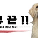청하유미