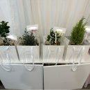 정의1길 이미지