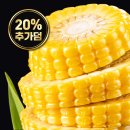 제주사랑농수산 | 제주 초당옥수수 추천! 높은 당도와 아삭한 식감 직접 경험한 솔직 후기