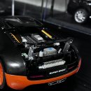 Bugatti Veyron 16.4 Super Sport &#39;World Record Edition&#39; 이미지