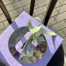 가자소프트 | 판교역 레터링 케이크 멜로드도산 현대백화점 판교점 1월 소프트모먼트 구매 후기