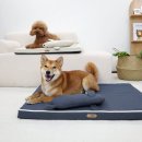 개과천선 이미지