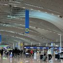 뻐꾸기식당 | 태국 치앙마이 자유여행 | 아카아마 프라싱 카페, 왓 프라싱 사원, 왓 프라싱 근처 태국음식 식당 추천