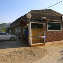 산호초횟집 Daum카페