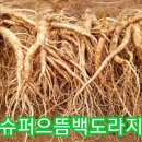 으뜸2농장 이미지