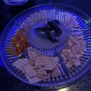 준투노래타운 이미지