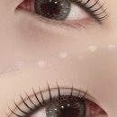 르엘브로우