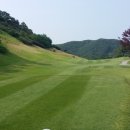 천룡컨트리클럽 이미지